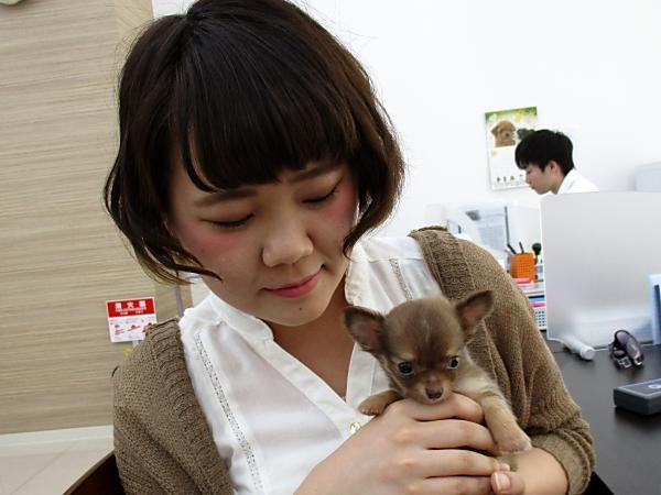 写真