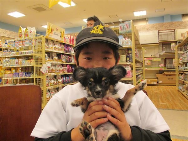 写真