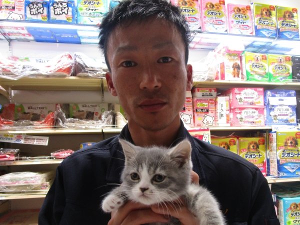 写真