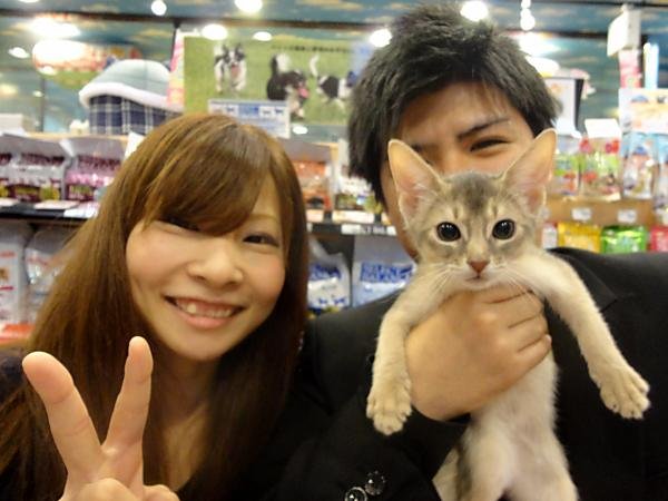 写真