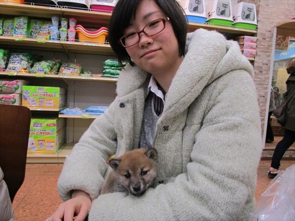 写真