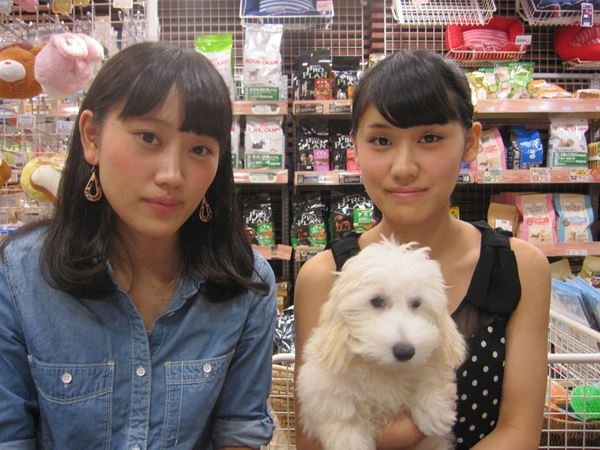 写真
