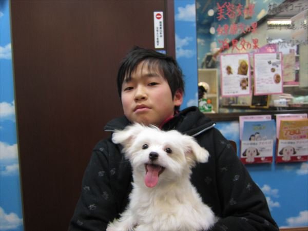 写真