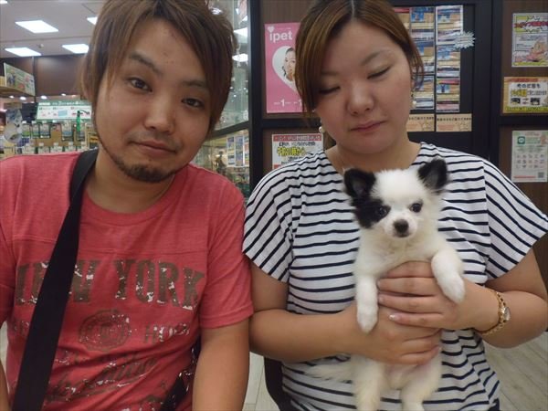 写真