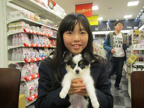 写真