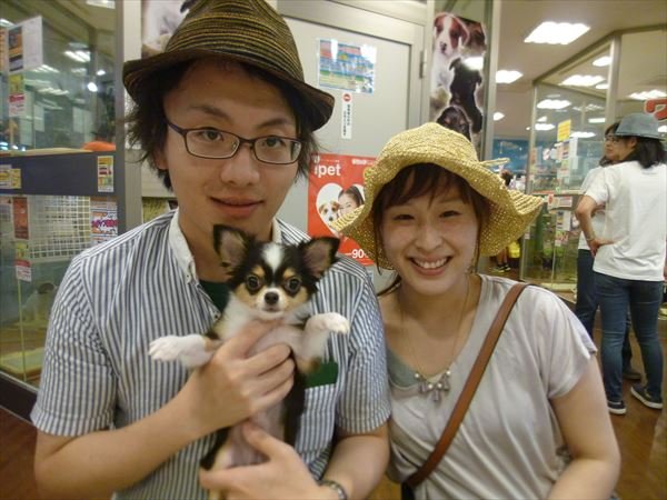 写真