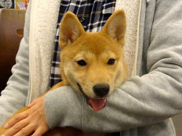 写真
