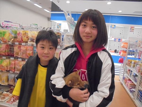 写真
