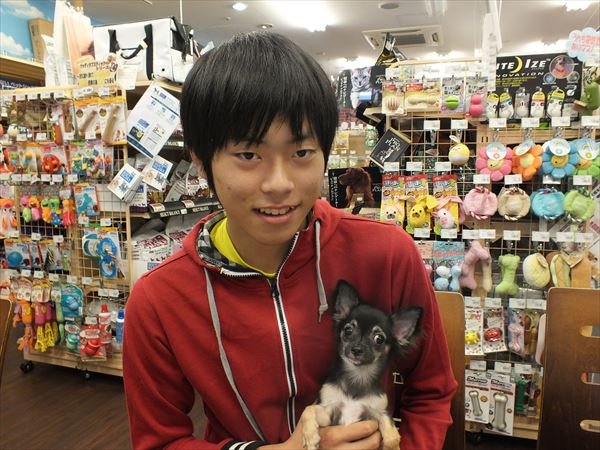 写真