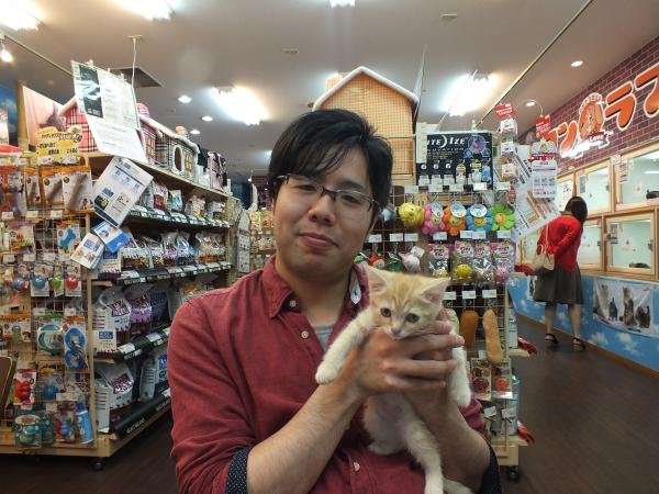 写真