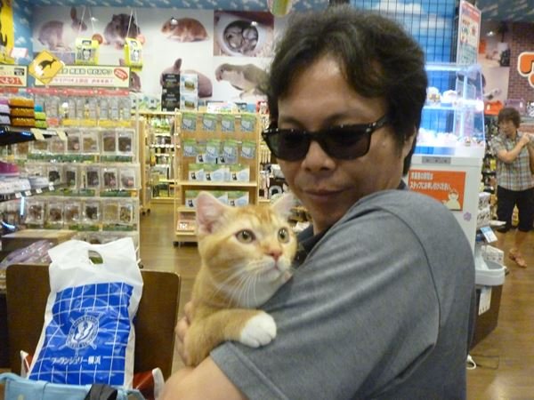 写真
