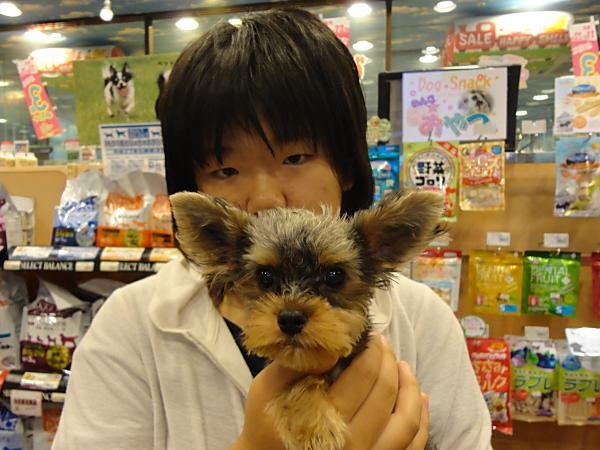 写真