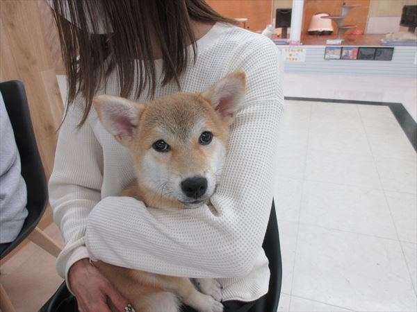 写真