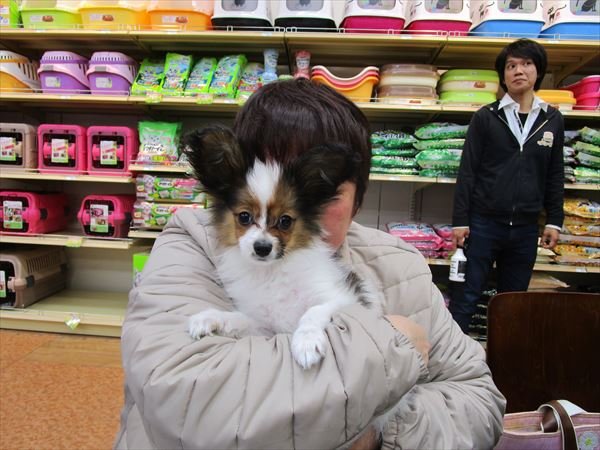 写真