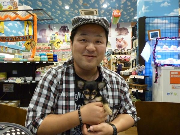 写真