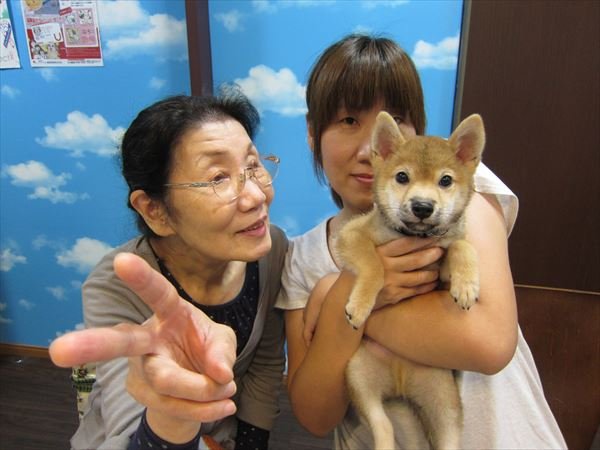 写真