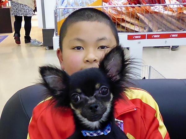写真
