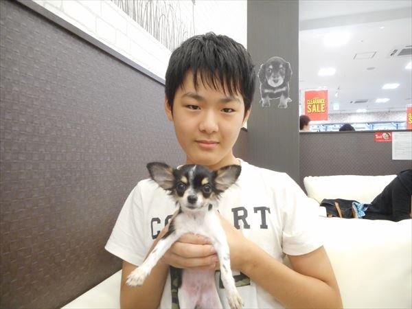 写真