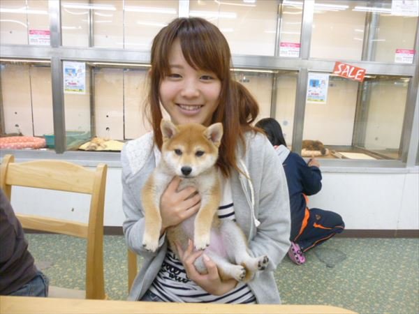 写真