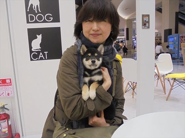 写真