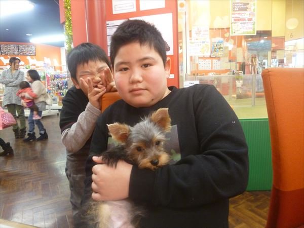 写真