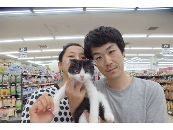 写真