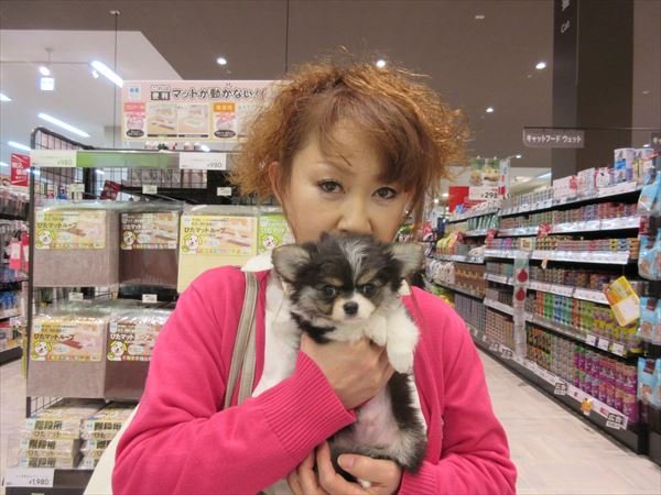 写真