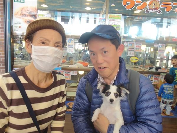 写真