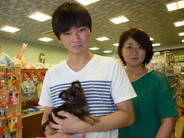 写真