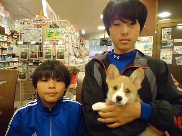 写真