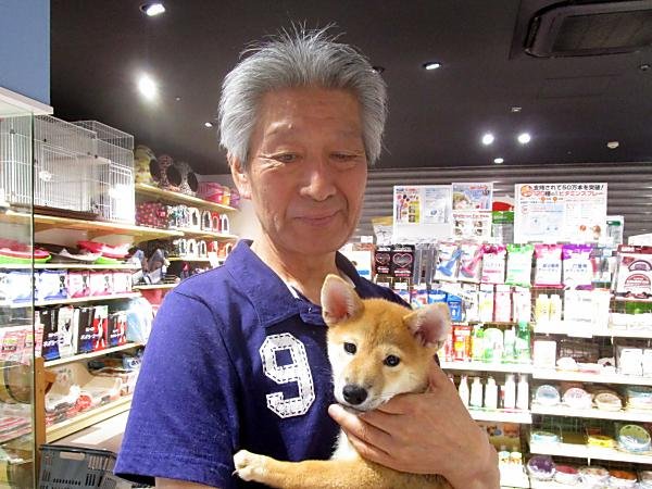 写真