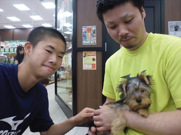 写真