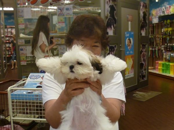 写真