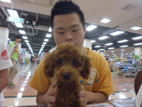 写真