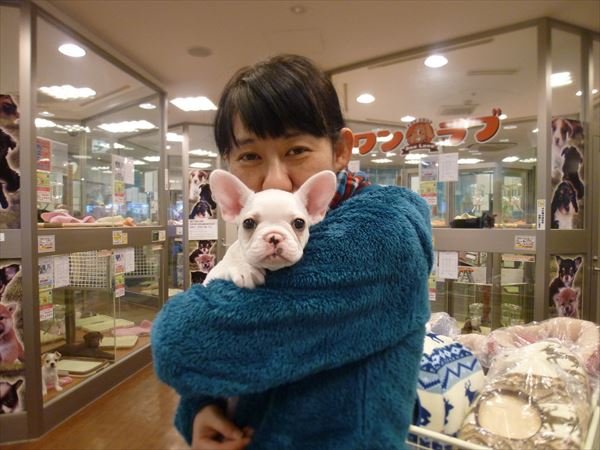 写真