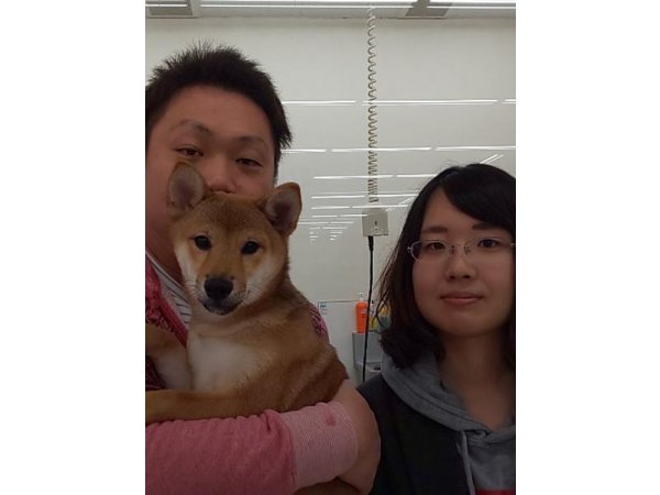 写真