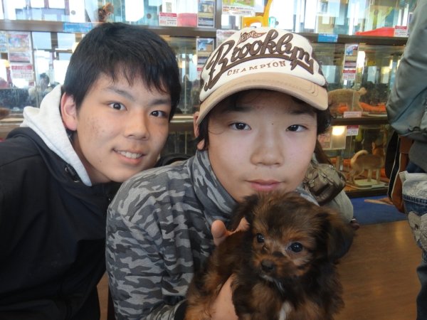 写真