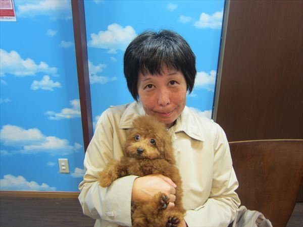写真