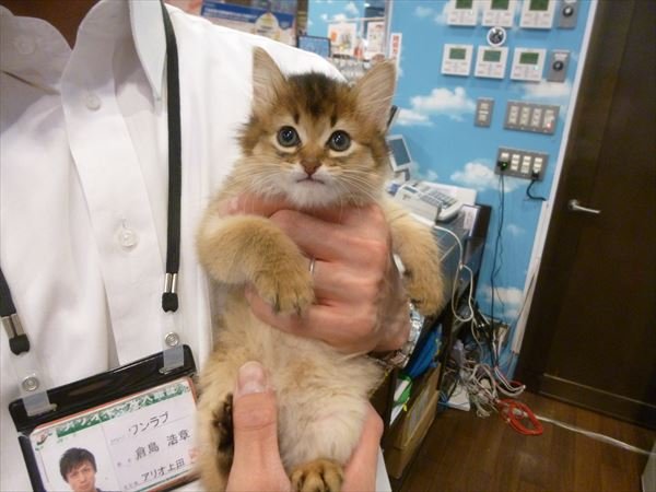 写真