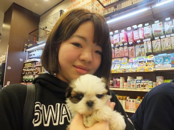 写真