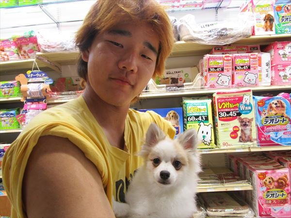 写真