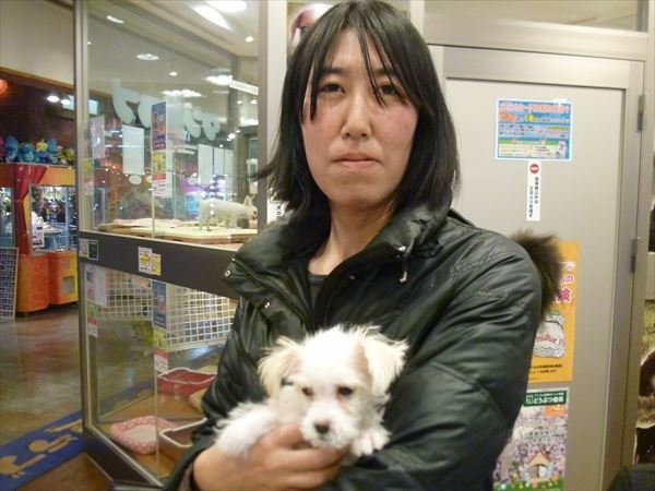写真