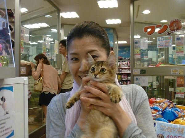 写真