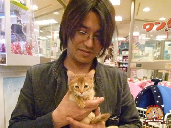 写真
