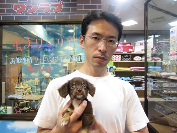 写真