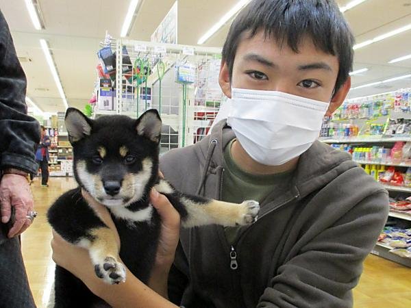 写真