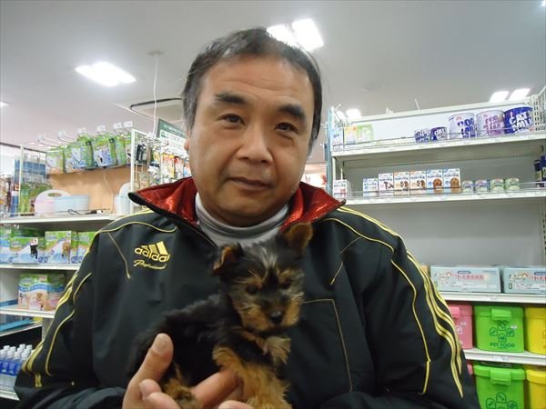 写真