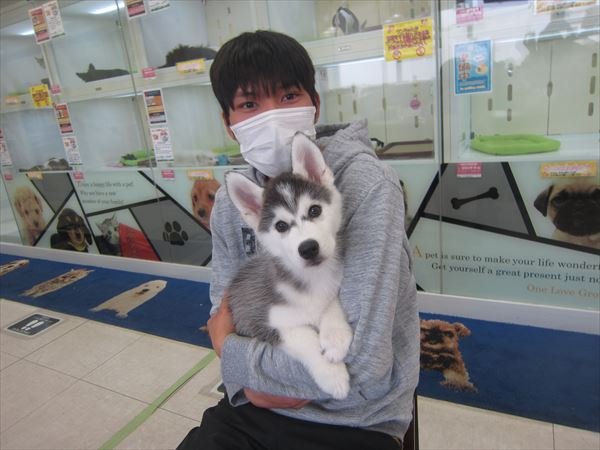 写真