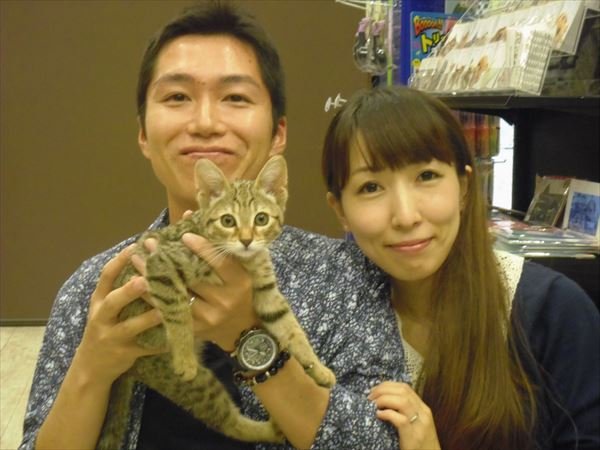 写真
