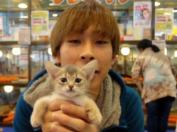 写真
